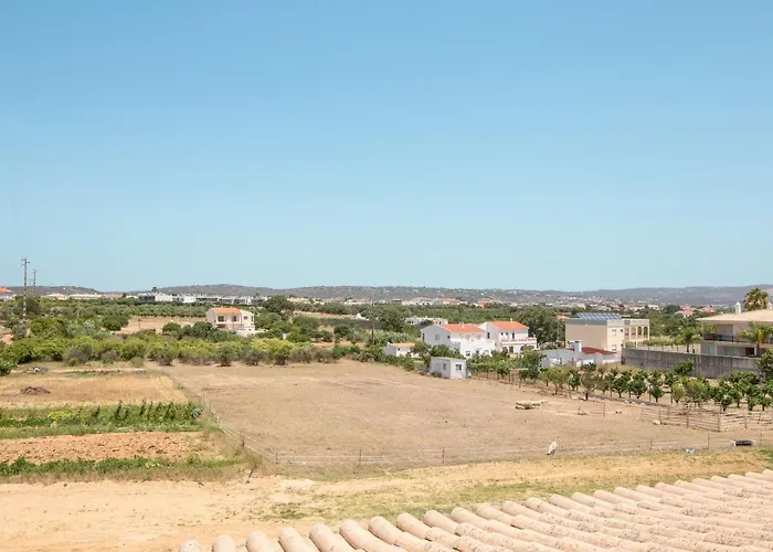 Paradise * 올류스 데 아구아